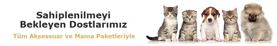 Kedi Ve Köpek Kıyafetleri